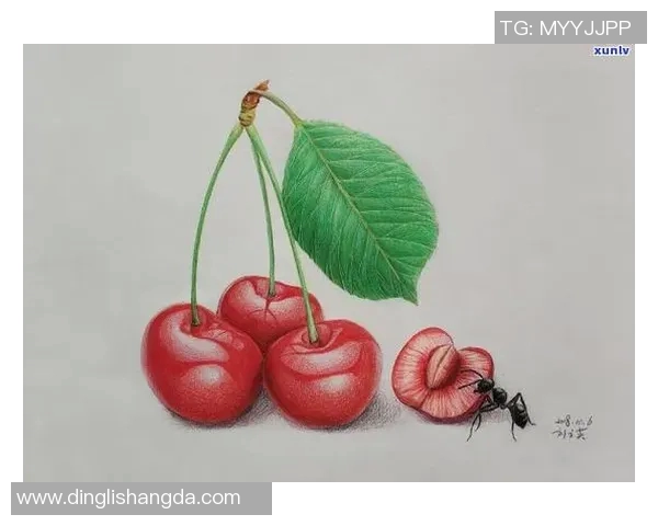 如何绘制足球明星佩佩的生动形象技巧与步骤分享